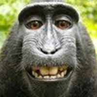 Profile Picture of Bernard Lanati (@bernard-lanati) on Quora