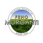 Profile Picture of Andre morganti (@fenomorganti) on Instagram