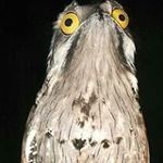 Profile Picture of Stuart Gunton (@clliippy) on Instagram