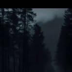 Profile Picture of Daniel Sander (@Daniel-Sander) on Facebook