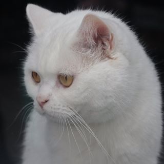 Profile Picture of 李明龍 (黑子) (@&) on Facebook