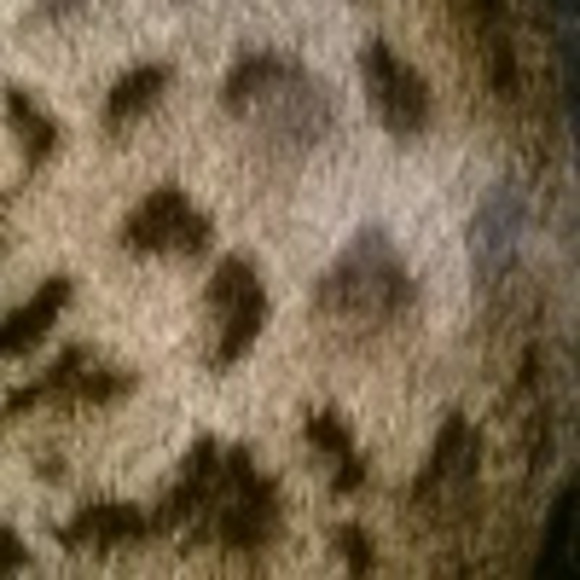 Profile Picture of Claudia Melgoza (@claudiammelgoza) on Poshmark