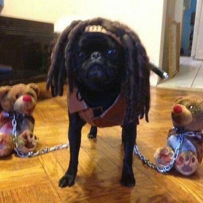 Profile Picture of Erik Tolentino Jaime (@eriktolentinoja) on Twitter