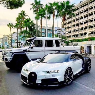 Trinidad Zepeda @ - Twitter Profile Picture of Trinidad Zepeda @ (@TrinidadZepeda6) on Twitter