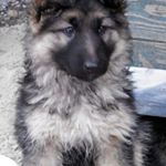 Profile Picture of Ігор Турок (@igorturok) on Instagram