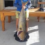 Profile Picture of Jesse Devlin Bijoux (@maugro_fishing) on Instagram