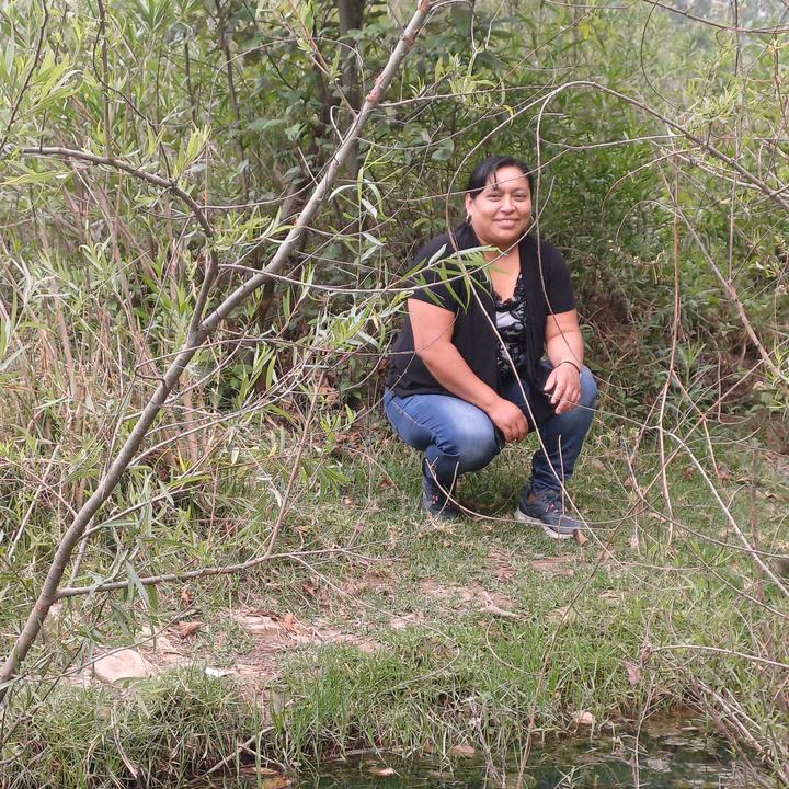 Profile Picture of iris rivas (@irisgomez532) on Tiktok