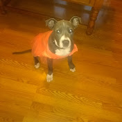 Profile Picture of Cassandra Webster (@cassandrawebster9586) on Youtube