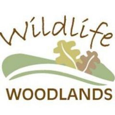 Profile Picture of Wildlife Woodlands (@StephenLees6) on Twitter