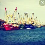 Jesse Linden - Instagram Profile Picture of Jesse Linden (@jezzoninsta) on Instagram