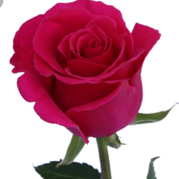 Profile Picture of Marilyn Kaneshiro (@mskaneshiro) on Poshmark