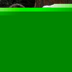 Profile Picture of Alex Nowicki (@234465a) on Myspace