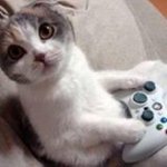 Profile Picture of Nathan Lewandowski (@musictuch09) on Instagram