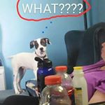 Profile Picture of jared (@jared_lambert_03) on Instagram