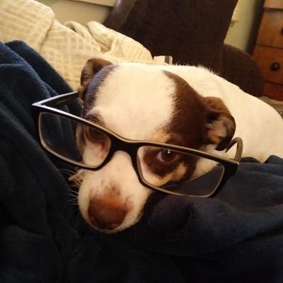 Profile Picture of Charles Montoya (@Charles00567895) on Twitter