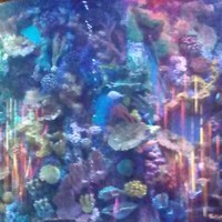 Profile Picture of Byron Weeks (@byron-weeks) on Quora