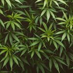 Profile Picture of thomas ingham (@ingham384) on Instagram