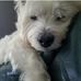 Profile Picture of Yolanda Larson (@yolanda.larson.169) on Facebook