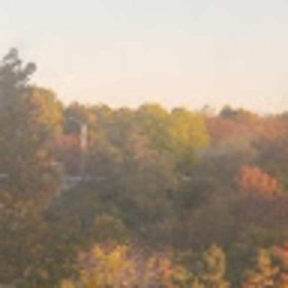 Profile Picture of Leah Gurdon (@leah_hhz) on Poshmark