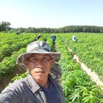 Profile Picture of Wichian Thomasit (@wichianthomasit) on Instagram