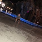 Profile Picture of Joshua Heidel (@jj_heidel) on Instagram