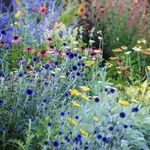 Profile Picture of Timothy Cavendish (@emeraldg7) on Instagram