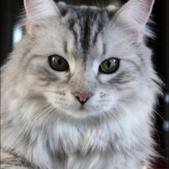 Profile Picture of Alec Wall (@alecwall306) on Poshmark