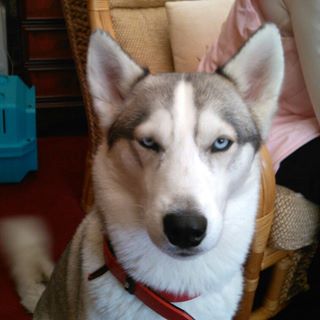 Profile Picture of Carl Gorman (@carl.gorman.54) on Facebook