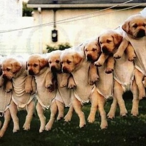 Profile Picture of Melissa Werts (@216516343) on Myspace