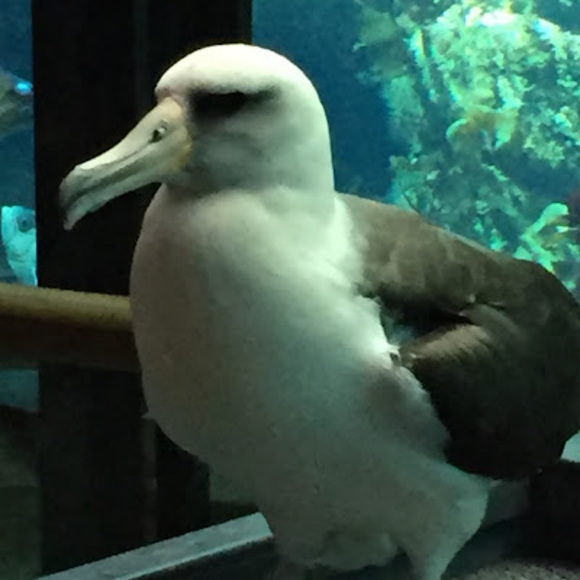 Profile Picture of Danica Staas (@danni778) on Poshmark