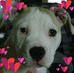 Profile Picture of Cheryl Brissette (@cheryl.brissette.39) on Facebook
