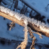 Laura Simson - Quora Profile Picture of Laura Simson (@laura-simson-2) on Quora