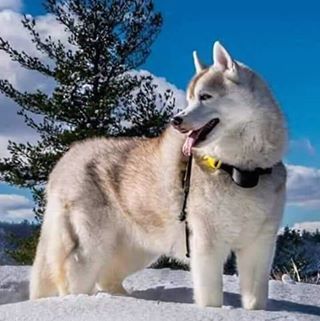 Profile Picture of Raymundo Balderas (@raymundo.balderas.1428) on Facebook