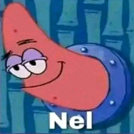 Profile Picture of Erica Vera (@ericavera1) on Tiktok