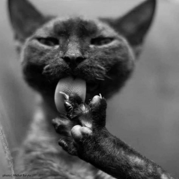 Profile Picture of Hellen Smith (@hellen_smith) on Poshmark