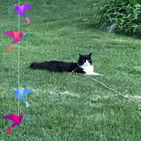 Profile Picture of Jimbarb Hansen (@jimapplesx5) on Poshmark