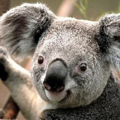 Profile Picture of David Hussey, Jr (@boydefender) on Twitter