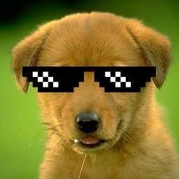 Benjamin Lezama Vela - Twitter Profile Picture of Benjamin Lezama Vela (@LezamaVela) on Twitter