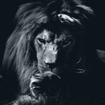 Robert Richard Hollingsworth - Instagram Profile Picture of Robert Richard Hollingsworth (@robertrichardhollingsworthjr) on Instagram