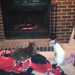 Profile Picture of brian chatham (@brianchatham) on Instagram