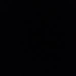 Profile Picture of Kylewinston (@kylewinston7761) on Instagram