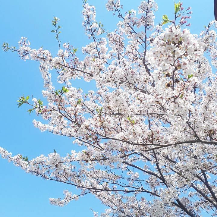 Profile Picture of AmandaPeterson (@amandapetersonpyfyqty) on Tiktok