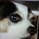 Profile Picture of Beverly Sanders (@beverlysanders) on Instagram