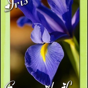 Profile Picture of Iris Cabral (@sweet_bebi) on Myspace