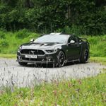 Profile Picture of Cammy Campbell (@cammy5604) on Instagram