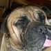 Profile Picture of Gary Trebolo (@gary.trebolo.7) on Facebook