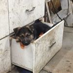 Myles Baker - Instagram Profile Picture of Myles Baker (@mylesbaker7804) on Instagram