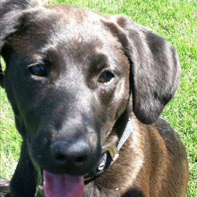 Profile Picture of Stuart Garber (@therunner13_1) on Twitter