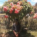 Profile Picture of Jamar Scott (@jamar.scott) on Instagram