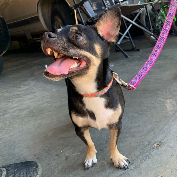 Steven Kunz - Poshmark Profile Picture of Steven Kunz (@punkinb86) on Poshmark